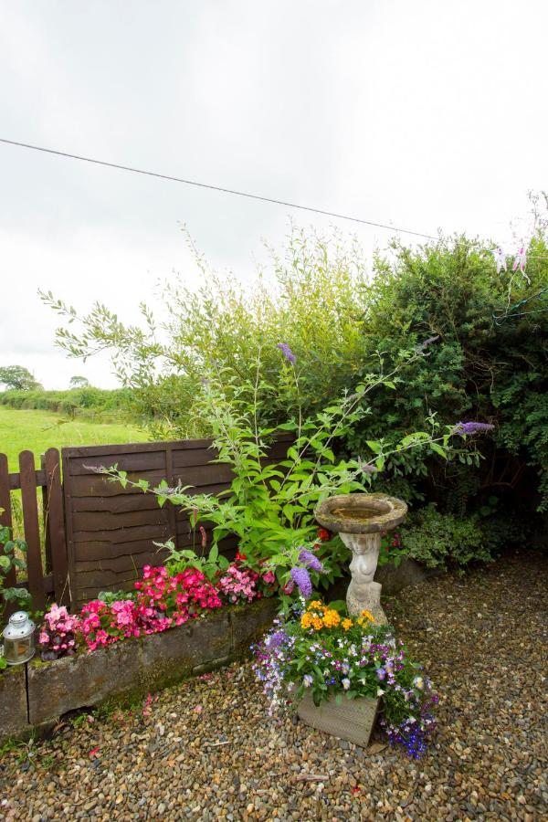 Goitre Bach Cottage Aberaeron Exteriör bild